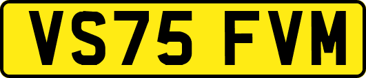 VS75FVM
