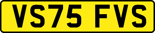 VS75FVS