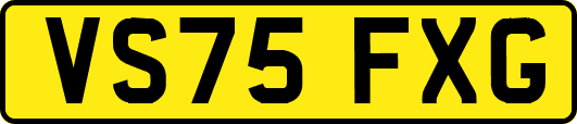 VS75FXG