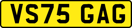VS75GAG
