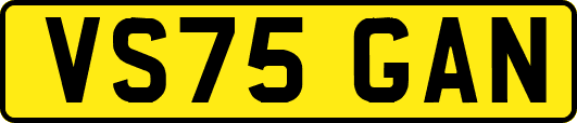 VS75GAN