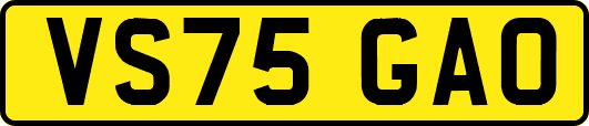 VS75GAO
