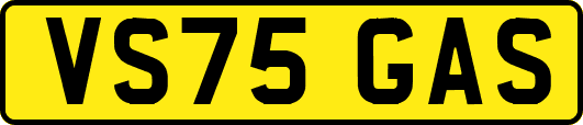 VS75GAS