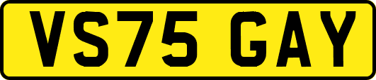 VS75GAY