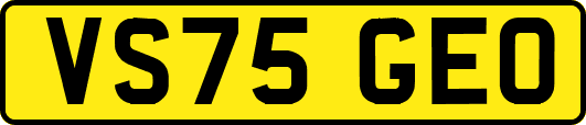 VS75GEO
