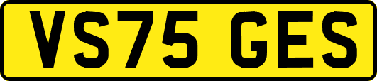 VS75GES