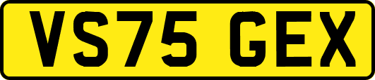 VS75GEX