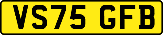 VS75GFB