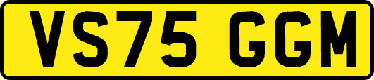 VS75GGM