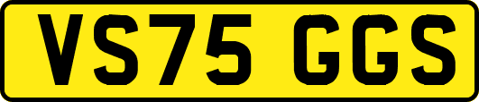 VS75GGS