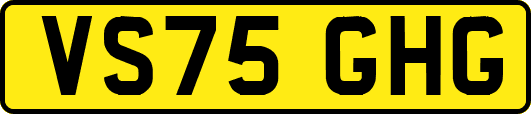 VS75GHG