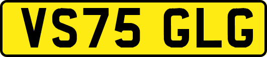 VS75GLG