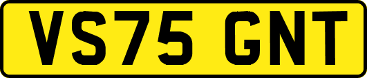 VS75GNT