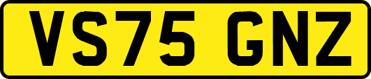 VS75GNZ