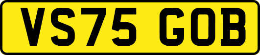 VS75GOB