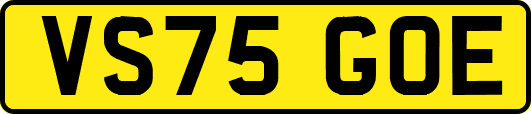VS75GOE