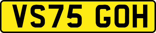 VS75GOH