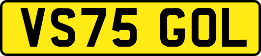 VS75GOL