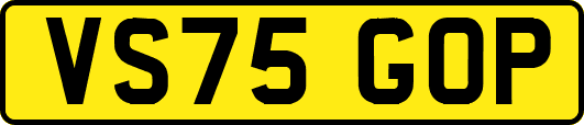 VS75GOP