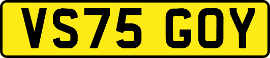 VS75GOY