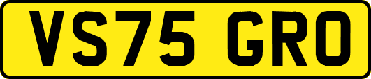 VS75GRO