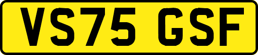 VS75GSF