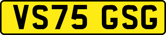 VS75GSG