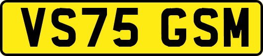 VS75GSM