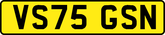 VS75GSN