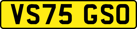 VS75GSO