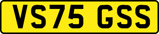VS75GSS