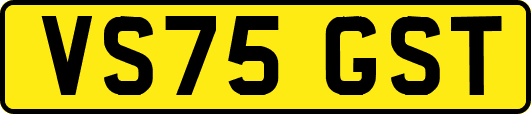 VS75GST