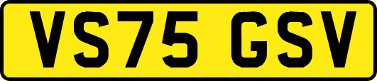 VS75GSV