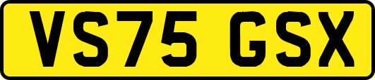 VS75GSX