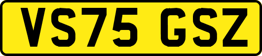 VS75GSZ