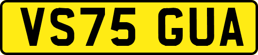 VS75GUA