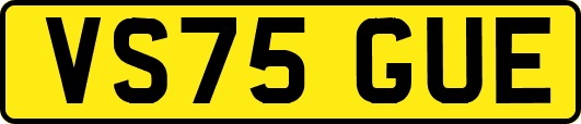 VS75GUE