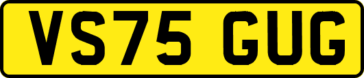 VS75GUG