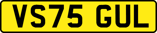 VS75GUL
