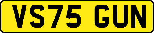 VS75GUN