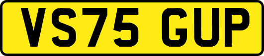 VS75GUP