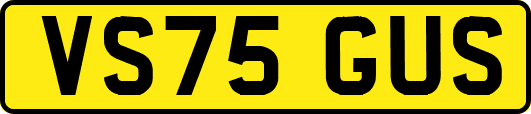VS75GUS