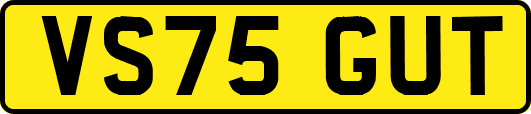 VS75GUT