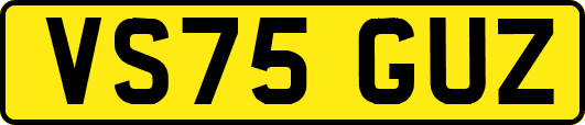 VS75GUZ