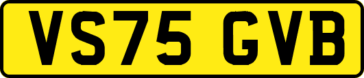 VS75GVB