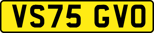VS75GVO