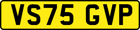 VS75GVP