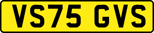 VS75GVS