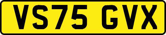 VS75GVX