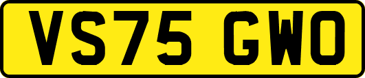 VS75GWO